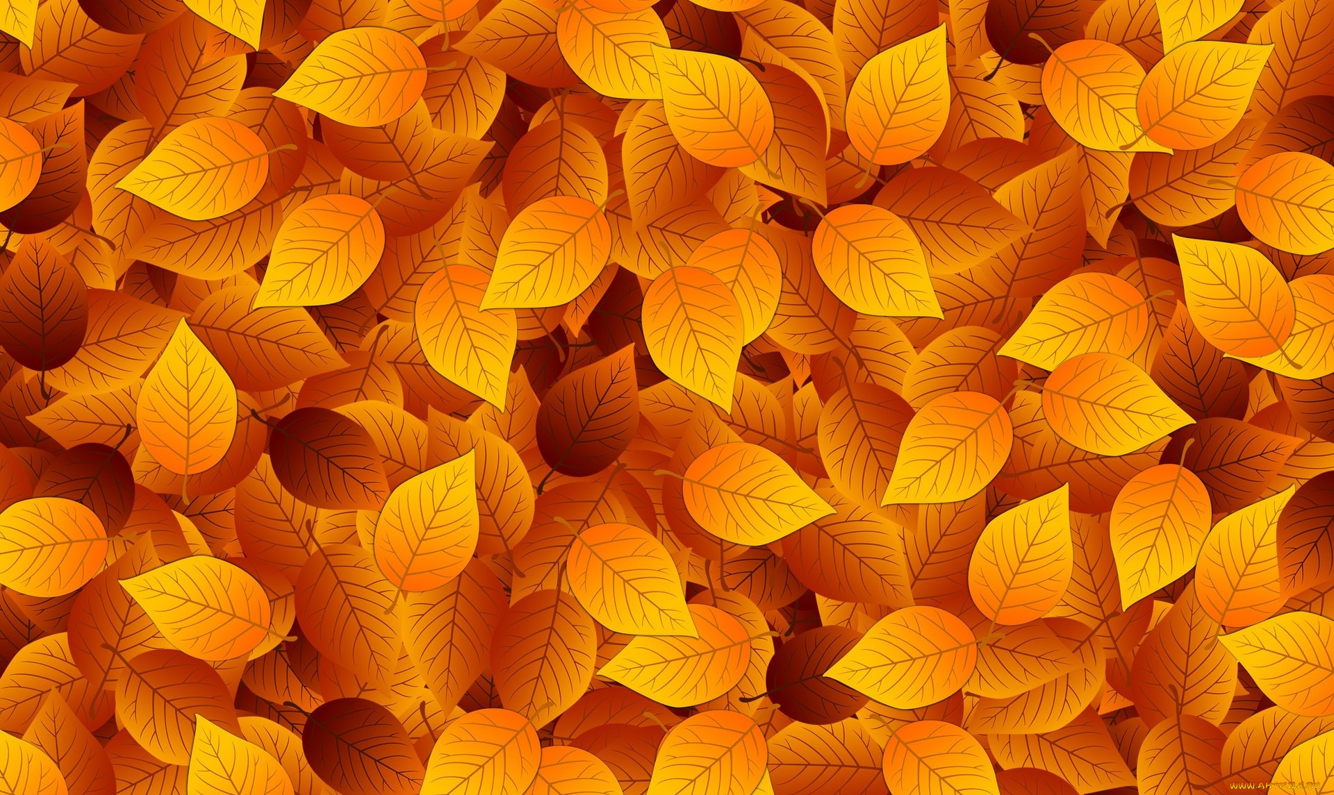  ,  , nature, , , 